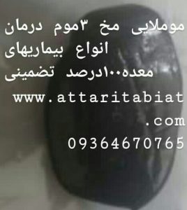موملایی مخ